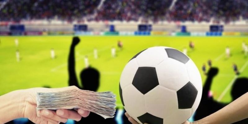 Đâu là những ưu điểm nổi bật Saba?
