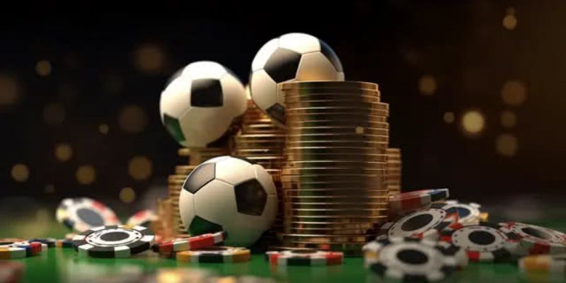 Lời khuyên hữu ích của chuyên gia Saba Sports