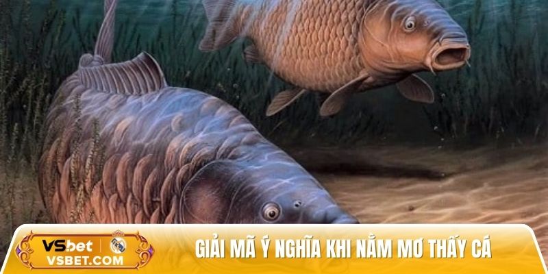 Các trường hợp chiêm bao khi chơi đề cho anh em tham gia