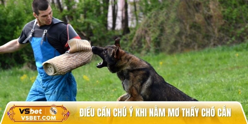 Một số điều cần chú ý khi nằm mơ thấy chó cắn